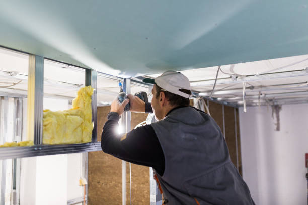 Professional Insulation Contractor in Friend, NE