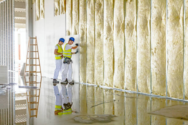 Best Spray Foam Insulation in Friend, NE